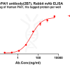 antibody-dme101331 pai1 elisa1