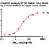 antibody-dme101380 rnase4 elisa1