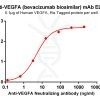 Elisa-BME100061 Anti VEGFA mAb bevacizumab biosimilar ELISA Fig1
