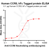 Elisa-BME100063 fig1