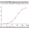 Elisa-bme100035b ceacam5 elisa1