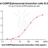 Elisa-bme100177 cgrp elisa1
