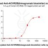 Elisa-bme100228b acvr2b elisa1