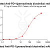 Elisa-bme100615b pd 1 elisa1