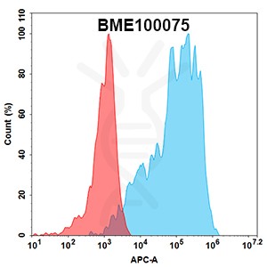 FC-Anti BME100075 CLDN18.2 mAb zolbetuximab