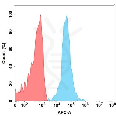 FC-BME100002 BM5 FAC TransfectedWithCS1 Fig.2