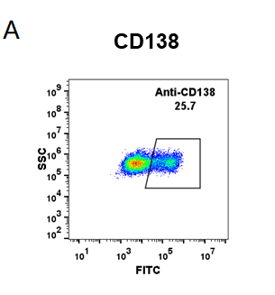 FC-BME100014 Anti CD138indatuximab ravtansine biosimilar mAb FLOW Fig1 A