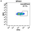 FC-BME100019 Anti EPHA3 ifabotuzumab biosimilar mAb FLOW Fig2 A