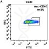 FC-BME100020 Anti CD40 iscalimab biosimilarmAb FLOW Fig2 A