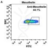 FC-BME100021 Anti Mesothelin amatuximab biosimilar mAb FLOW Fig2 A