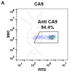 FC-BME100040 Anti CA9 girentuximab biosimilar mAb FLOW Fig1 A