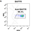 FC-BME100045 Anti BAFFR ianalumab biosimilar mAb FLOW Fig1 A