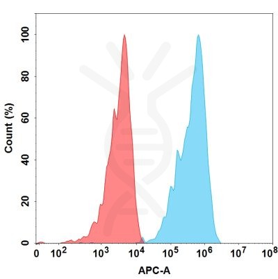 FC-BME100048 BM100 FAC TransfectedWithERBB2 Fig.2