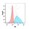 FC-BME100060 Anti VEGFR2 mAbramucirumab biosimilar FLOW Fig1