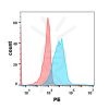 FC-BME100072 Anti GPRC5D mAbTalquetamab biosimilar FLOW Fig1