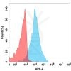 FC-BME100106 BM158 Anti AMHR2 FACS Fig1