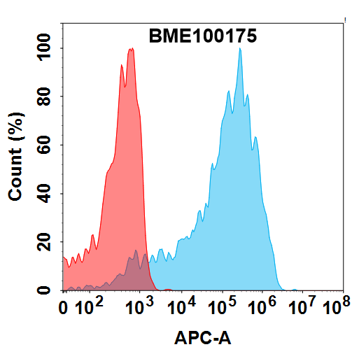 BME100175-AXL-Fig.1-FC-1.png