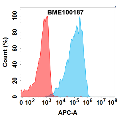 FC-BME100187 GPRC5D Fig.1 FC 1 1