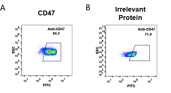 FC_combine-BME100001 Anti CD47daratumumab biosimilar mAb FLOW Fig1