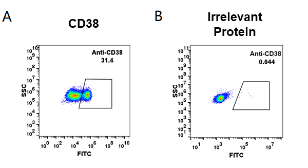 FC_combine-BME100004 Anti CD38daratumumab biosimilar mAb FLOW Fig1