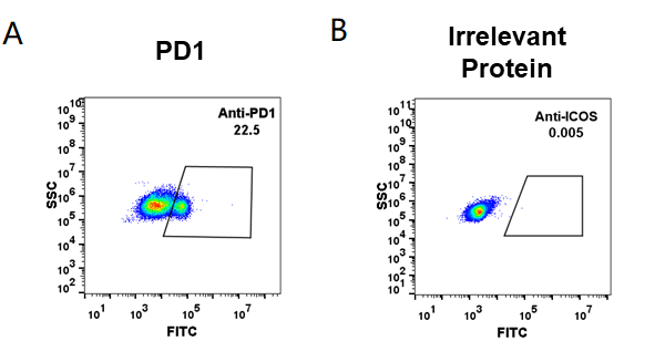 FC_combine-BME100006 Anti PD1pembrolizumab biosimilar mAb FLOW Fig1