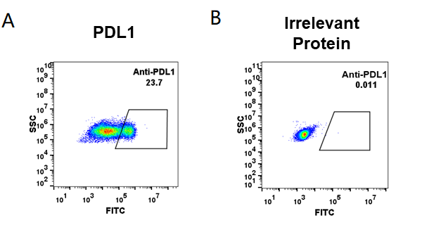 FC_combine-BME100009 Anti PDL1atezolizumab biosimilar mAb FLOW Fig1