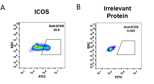 FC_combine-BME100012 Anti ICOSvopratelimab biosimilar mAb FLOW Fig3