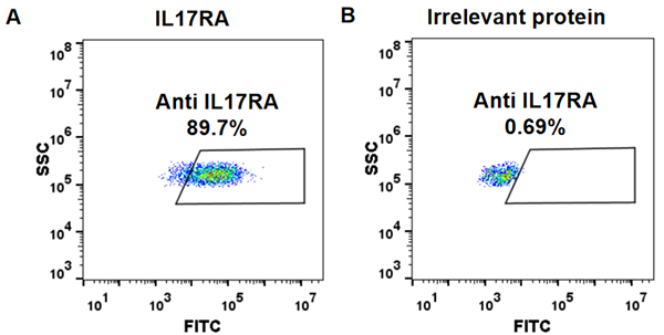 FC_combine-BME100038 Anti IL17RA brodalumab biosimilar mAb FLOW Fig1