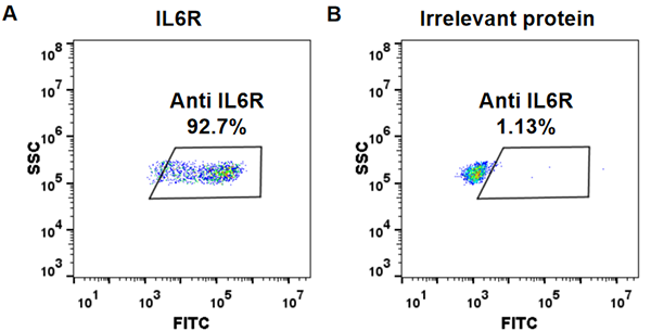 FC_combine-BME100041 Anti IL6R tocilizumab biosimilar mAb FLOW Fig1