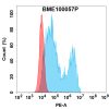 FC-bme100057p her3 fc1