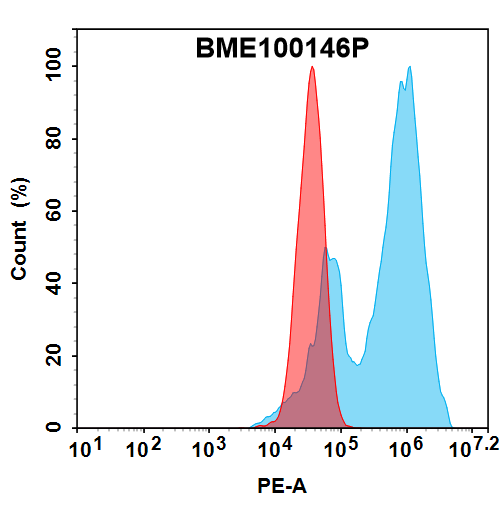FC-bme100146p itgav fc1