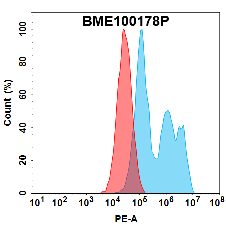 FC-bme100178p folr1 fc1