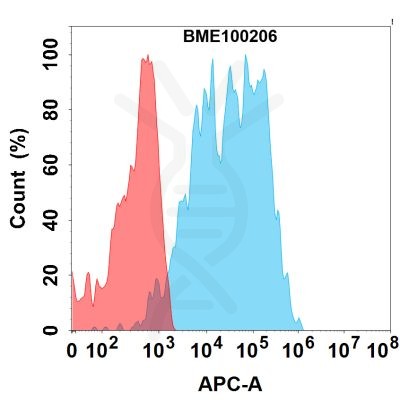 FC-bme100206 cd19 fc1