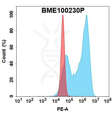 FC-bme100230p adam9 fc1