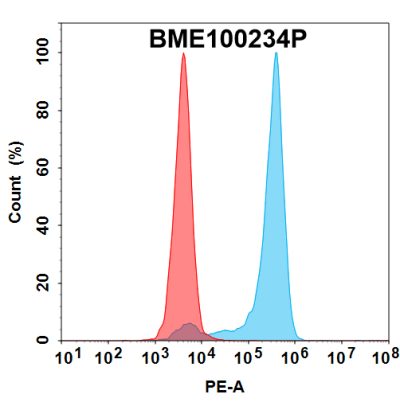 FC-bme100234p cdh6 fc1