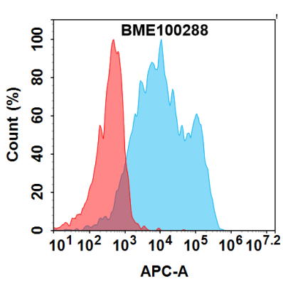 FC-bme100288 pd l1 fc1