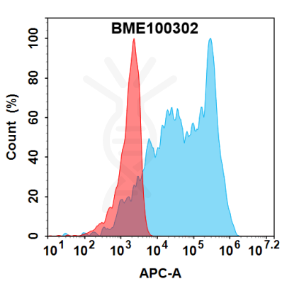 FC-bme100302 tgfbr2 fc1