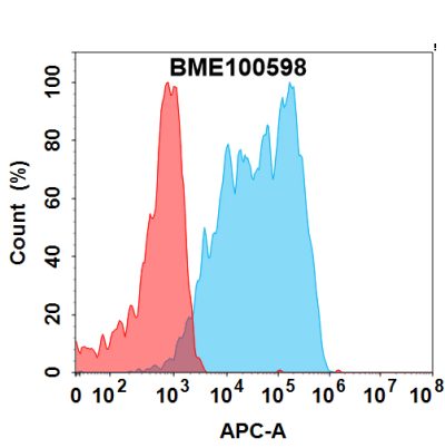 FC-bme100598 pdgfra fc1