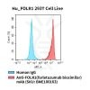 fc-cel100024 hu folr1 293t cell line flow