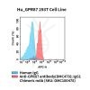 fc-cel100096 hu gpr87 293t cell line flow