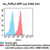 fc-cel100099 hu k562 fcrl5 cell line flow
