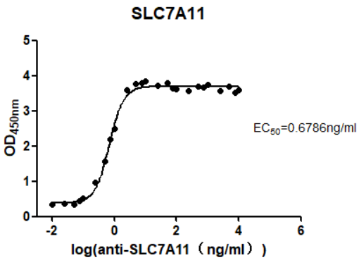 cfp200004-slc7a11-elisa1.png