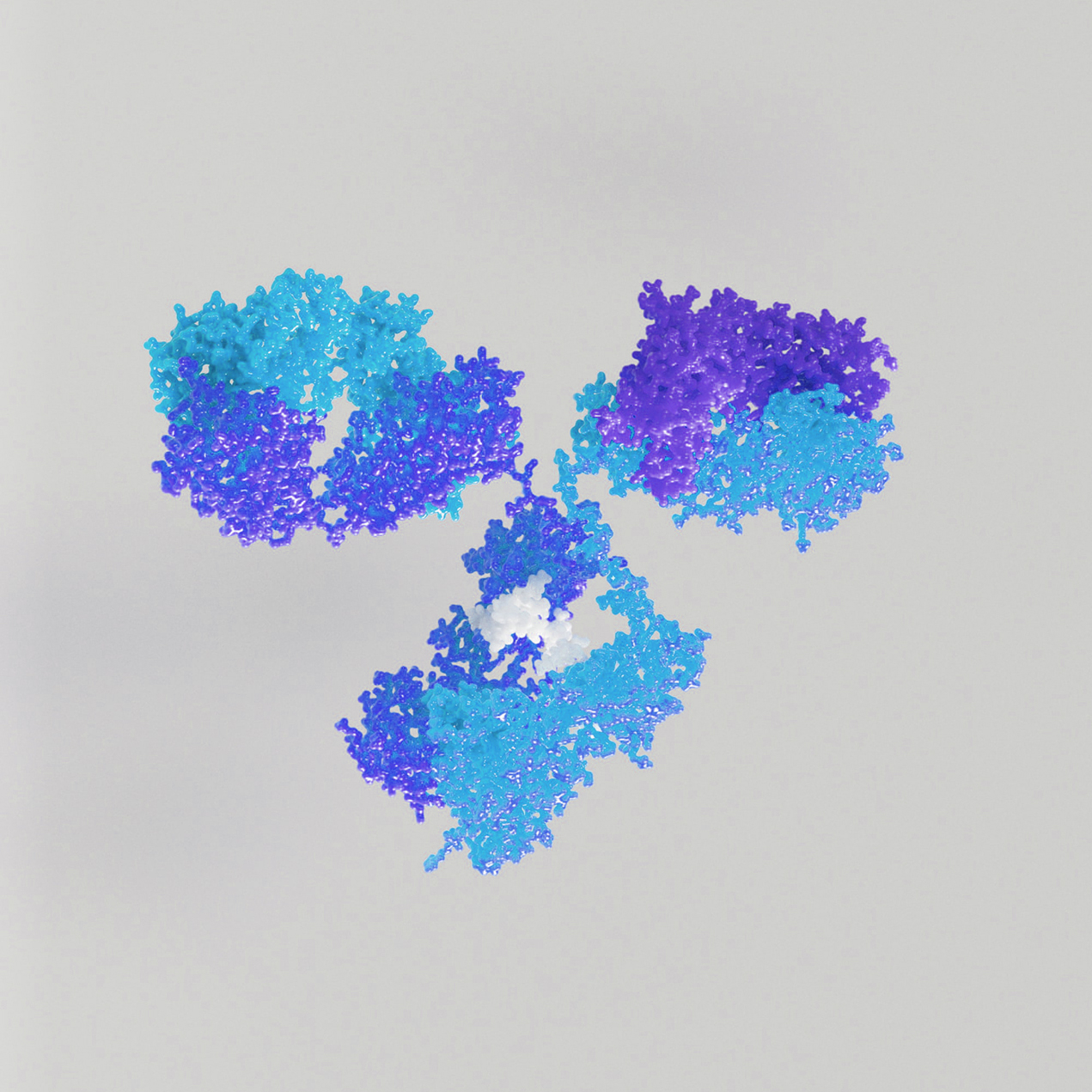 Monoclonal Antibodies