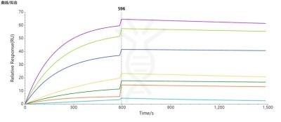 SPR-FLP100014 CLDN18.2 Fig.3 SPR 1