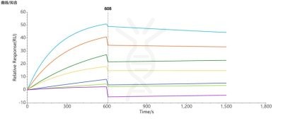 SPR-FLP100037 CCR8 Fig.3 SPR 1