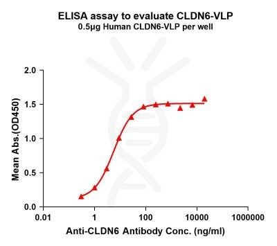 elisa-FLP100038 CLDN6 Fig.1 Elisa 1