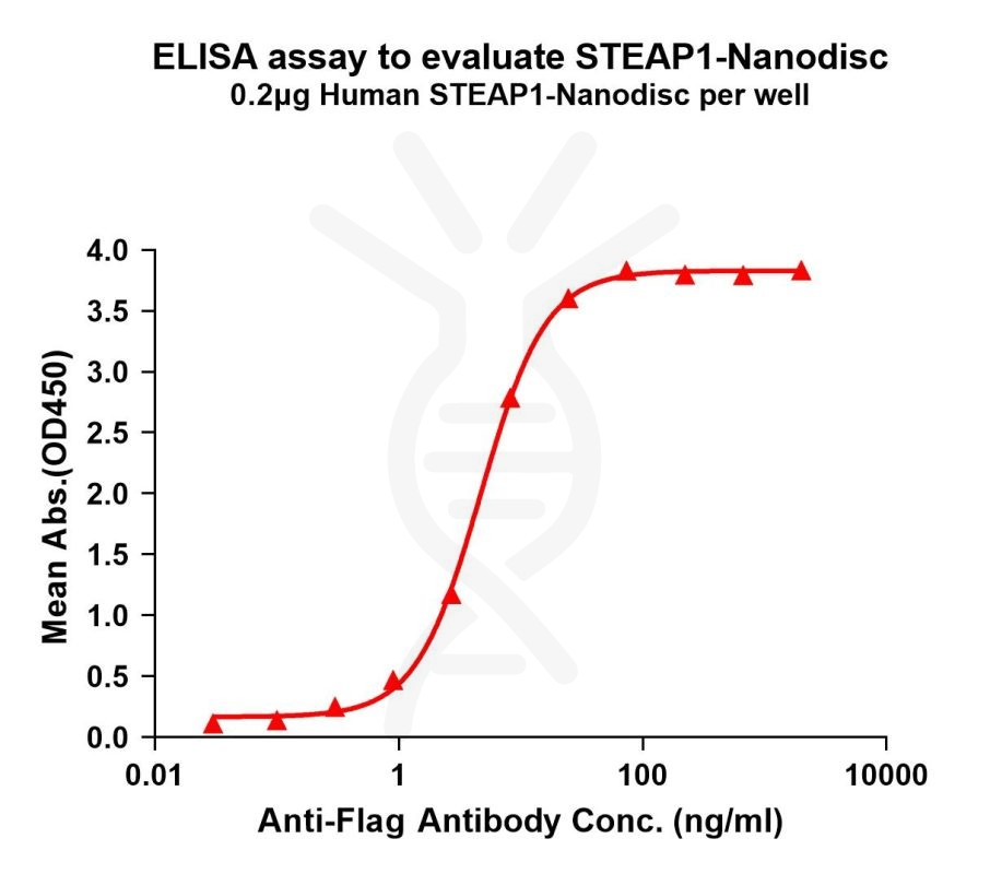 Human STEAP1 full length proteinsynthetic nanodisc 专注肿瘤免疫
