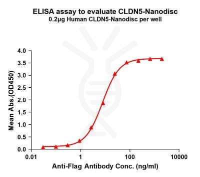 elisa-FLP100079 CLDN5 Fig.1 Elisa 1