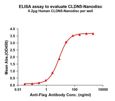 elisa-FLP100079 CLDN5 Fig.1 Elisa 1