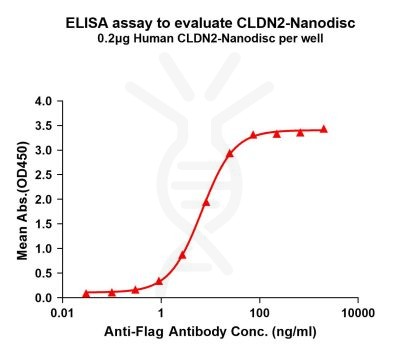 elisa-FLP100082 CLDN2 Fig.1 Elisa 1